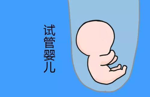 IVF实验室